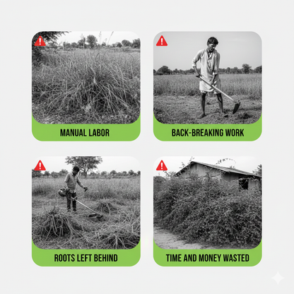 🔥 Cyclosinone Herbicide Granules – 50% OFF TODAY ONLY! ⚡ Hurry Before Stock Ends!