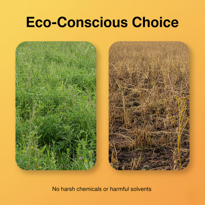 🔥 Cyclosinone Herbicide Granules – 50% OFF TODAY ONLY! ⚡ Hurry Before Stock Ends!